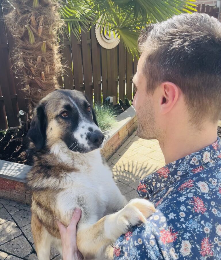 De Hond als Spiegel